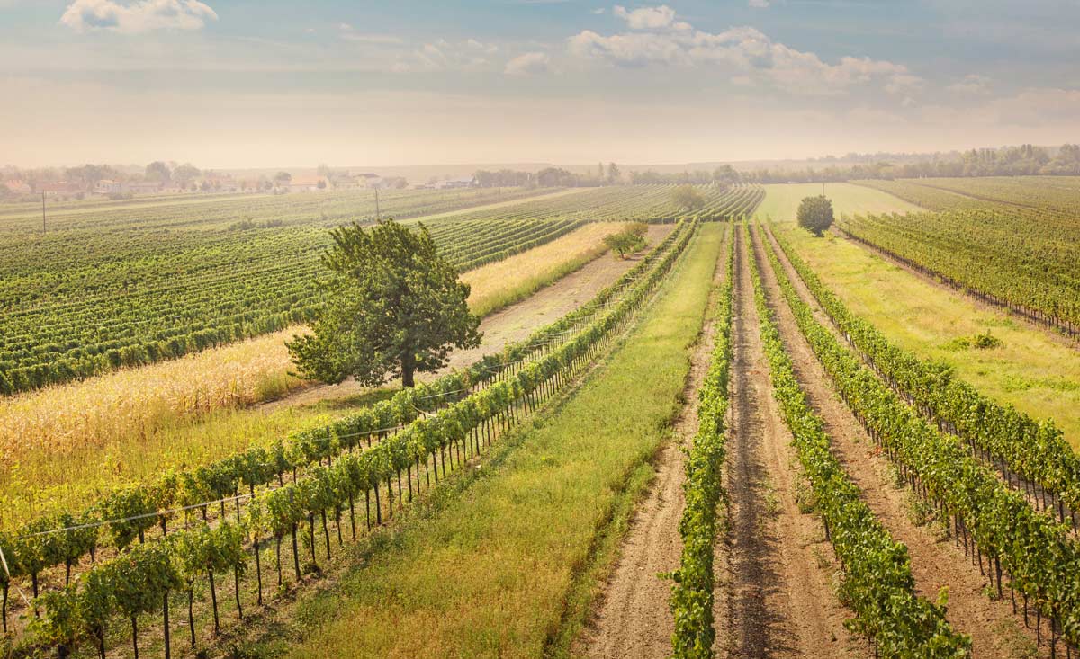 Urlaub im Burgenland